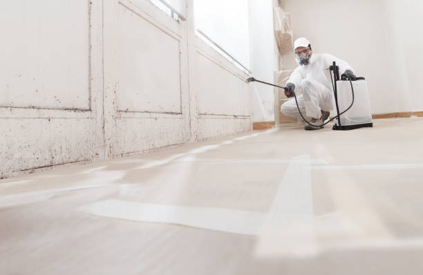 24/7 Emergency Mold Remediation experts in Kilmarnock, VA