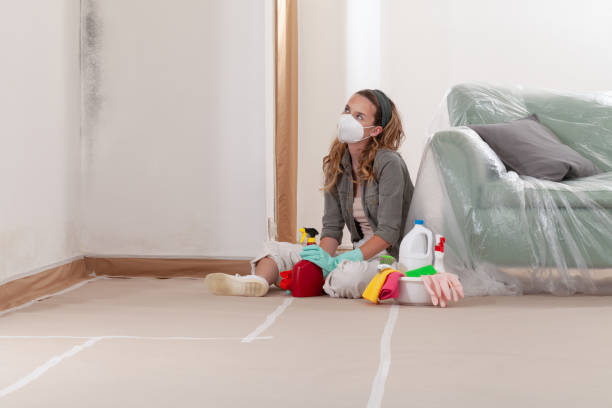 Reliable Mold Remediation contractor in Kilmarnock, VA by 24 Hour Mold Removal