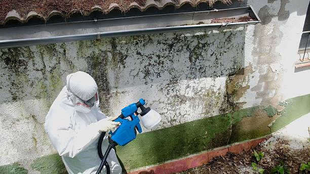 Top rated local Mold Remediation specialists in Kilmarnock, VA
